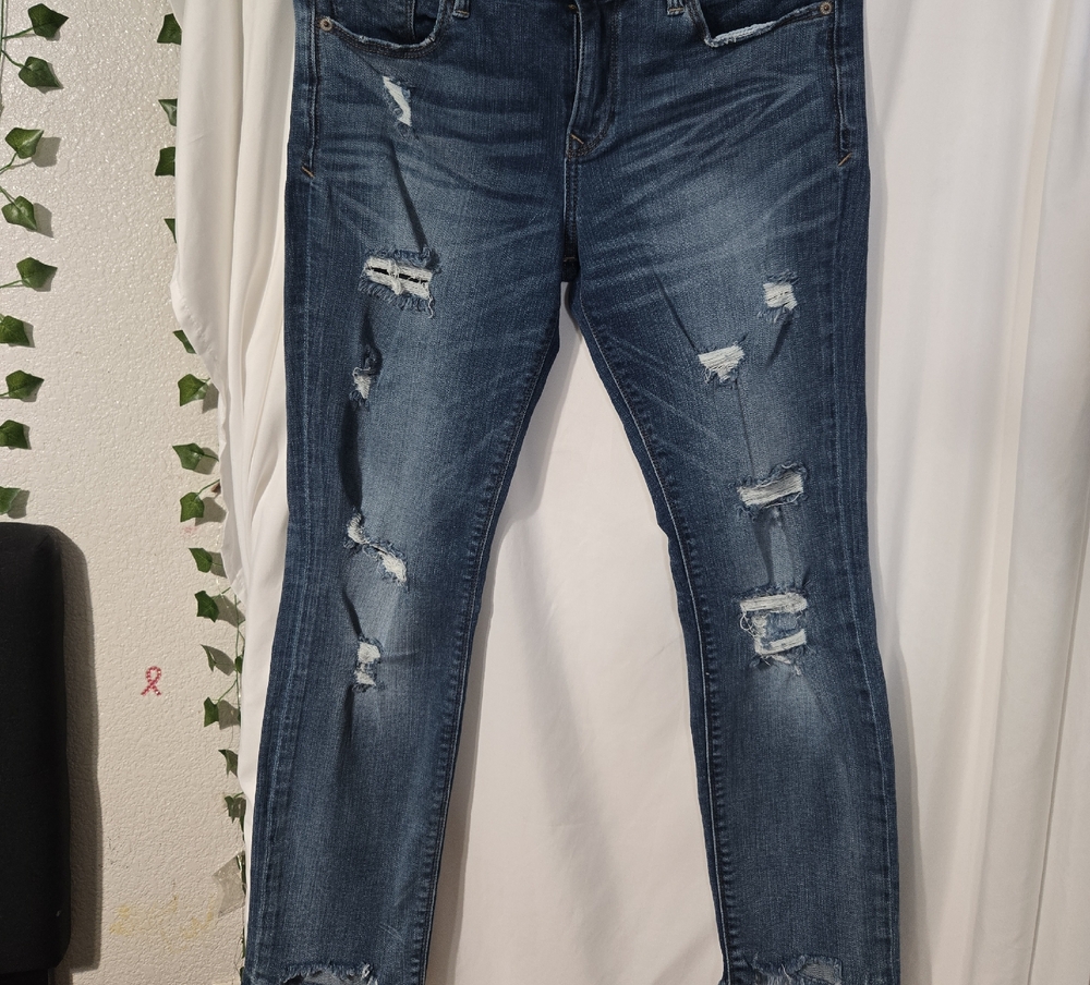 Express Dark Blue Distressed Skinny Jeans